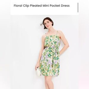 LOFT Floral Clip Pleated Mini Dress in Green and Cream